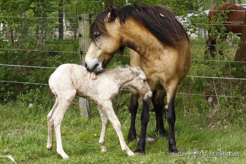 Hjoerdis 25 Min alt (2).JPG